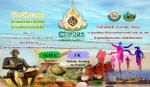 สานพลังท้องถิ่นไทยถวายพ่อของแผ่นดิน เดิน-วิ่ง มินิฮาล์ฟมาราธ